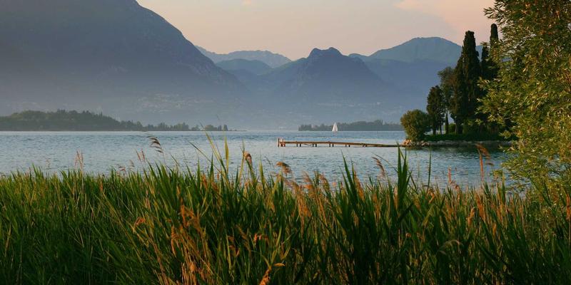 三四线城市社区团购的运营模式与机遇：资讯门户与本地生活平台的破局之道
