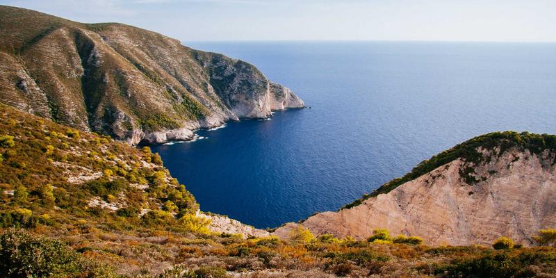 专业除虫灭鼠服务选择指南：安全彻底解决家庭虫害问题