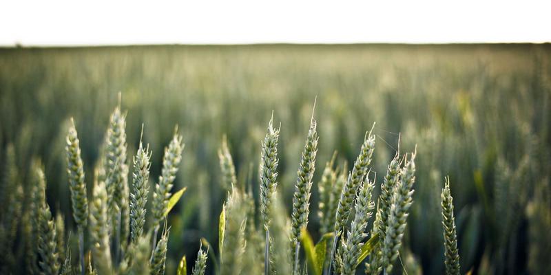 个人形象管理与服饰搭配服务：在本地生活资讯门户中找到专属风格，提升自信魅力