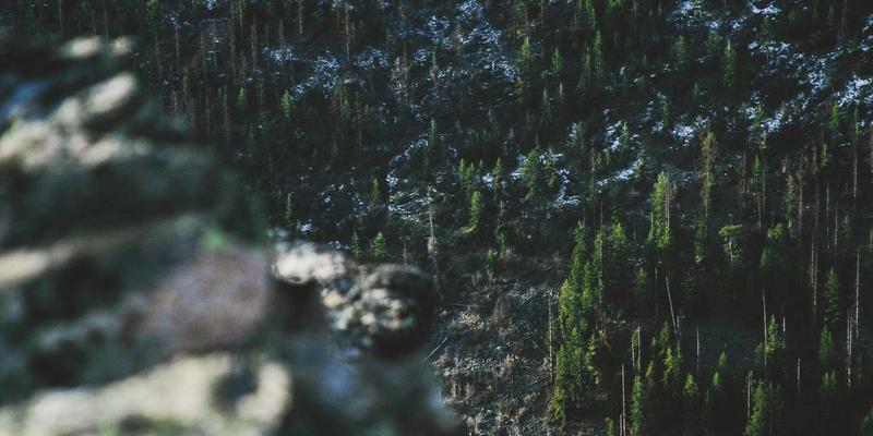 个人形象管理服务全解析：从职场着装顾问到衣橱构建的生活指南