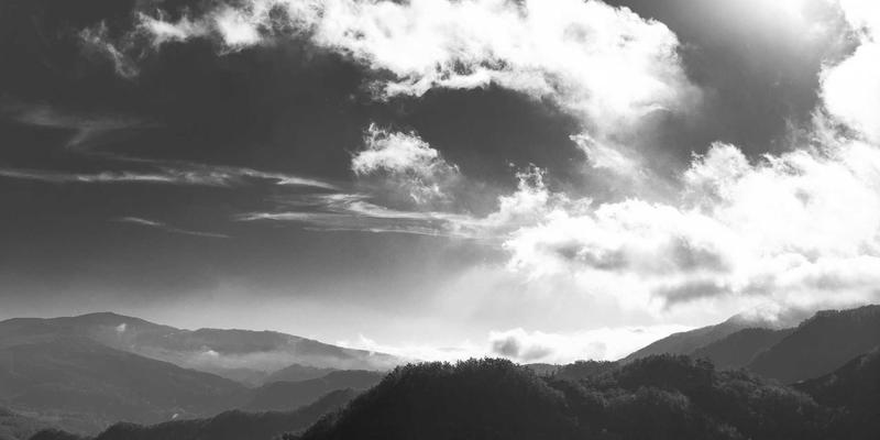 城市白领高效生活指南：巧用跑腿代办与预约服务，解锁出行攻略、生活服务与美食推荐新体验