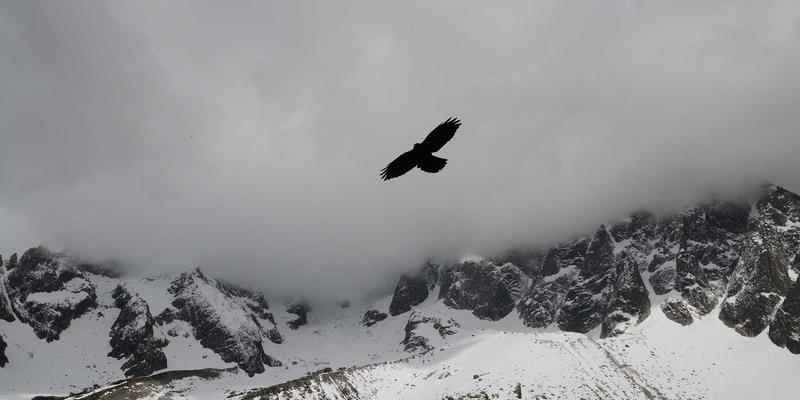完美网生活指南：一站式婚庆策划服务全流程解析，从场地礼仪到蜜月旅行