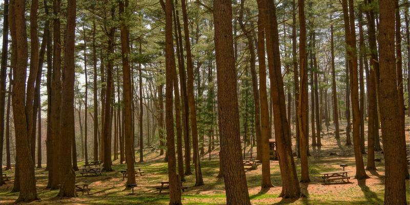 完美网生活指南：如何通过私人厨师与家宴定制服务，在家享受米其林级别的用餐体验