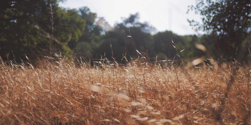 完美网生活服务资讯：城市探索与自然教育，低成本高质量亲子周末活动策划指南