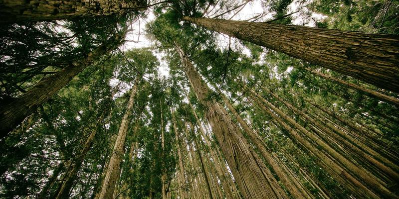 家庭安防系统规划与安装：从摄像头到智能门锁的全面守护指南