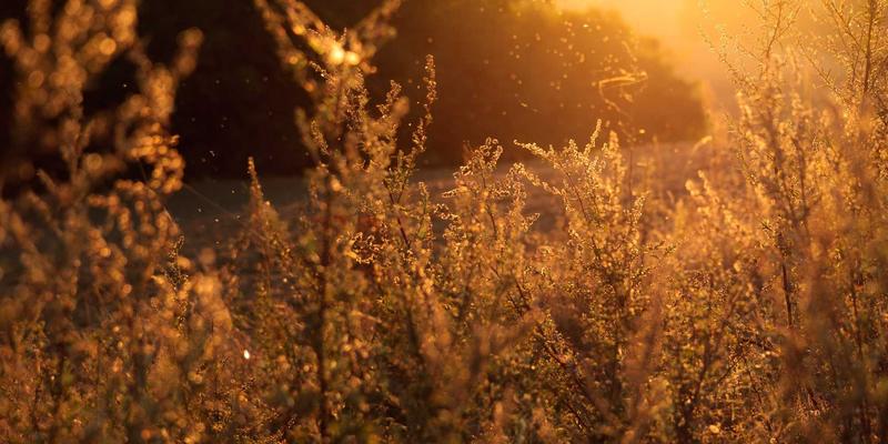 家庭应急维修服务指南：水管漏电跳闸等突发状况，如何快速联系本地靠谱师傅