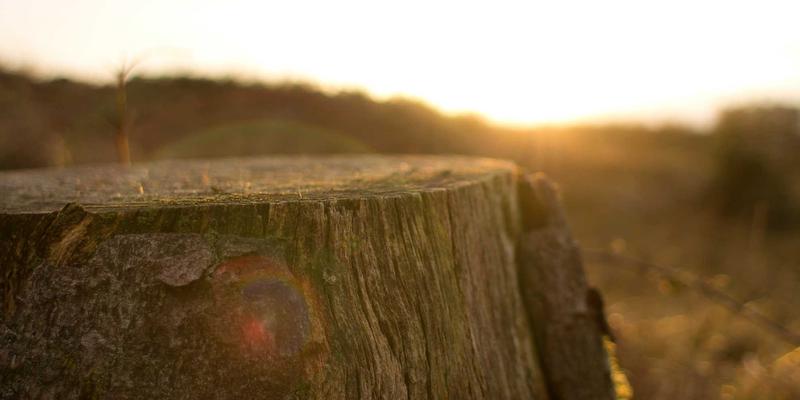 家庭节能生活指南：智能设备推荐与日常习惯优化全攻略