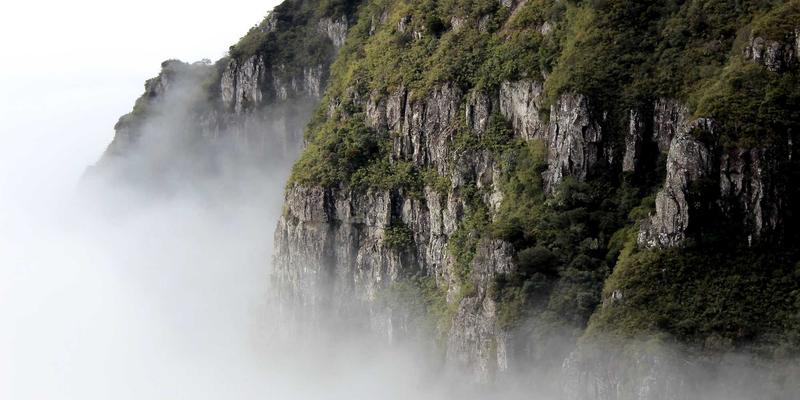 新生儿家庭月嫂选择全攻略：从面试到签约的本地生活服务要点 | 完美网资讯门户