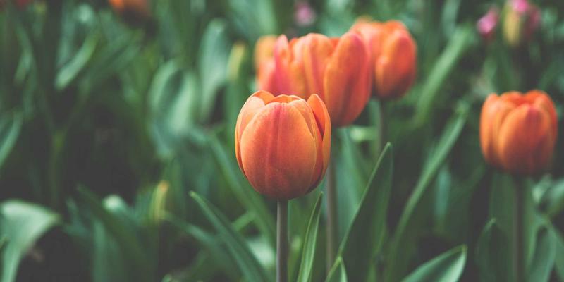 智能家居安装与调试全攻略：如何选择靠谱的本地技术服务商