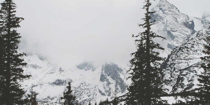 本地特色食材配送服务深度评测：完美网如何重塑从农场到餐桌的新鲜体验