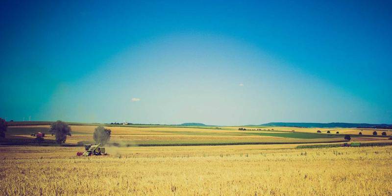 本地生活新选择：特色手工艺体验工作坊，周末深度融入社区文化的出行攻略