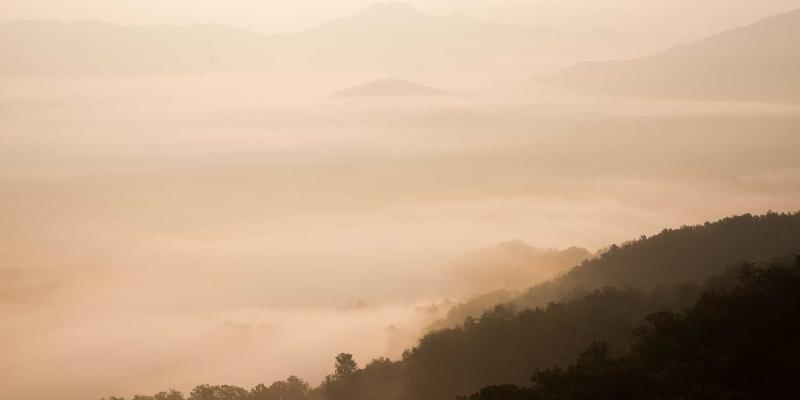 本地食材直送与溯源服务：从田间到餐桌的家庭饮食出行攻略与生活指南