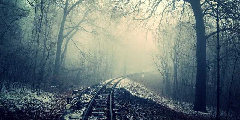 海外移民安家服务全攻略：从住房、法律到生活融入的完整指南 | 完美网出行攻略