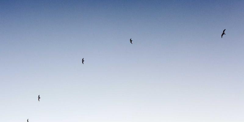 生活服务84 | 解锁本地生活新体验：完美网出行攻略全解析