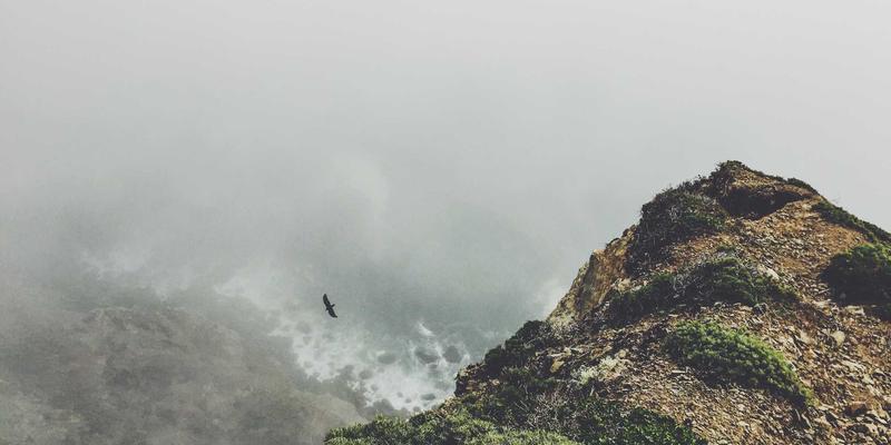 生活服务入门：解锁本地生活与美食推荐的智慧指南