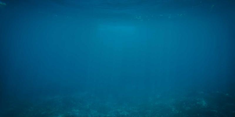 适老化改造市场调研：为父母打造安全便利居家环境的必备清单与生活服务指南